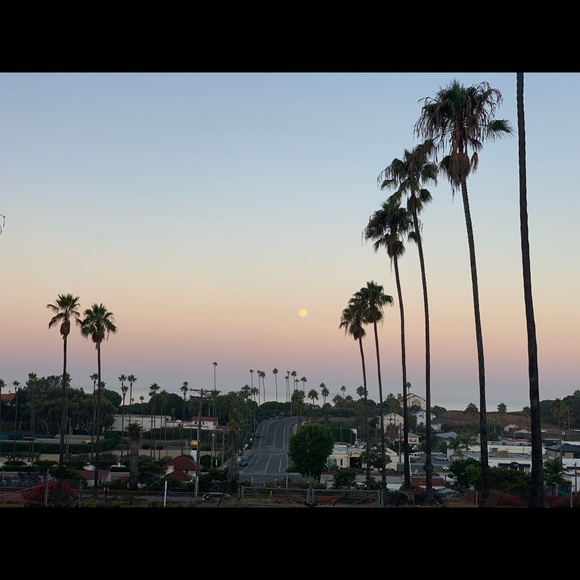 Meet your Posh Ambassador, Elizabeth - Picture 12 of 15